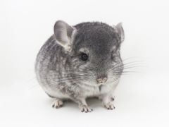 -龙猫仔乐园(惠福东路店)