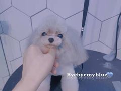 -萌兽医馆·眼科·异宠专科(三里屯店)