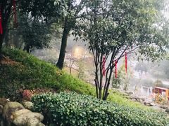 -三江森林温泉度假区