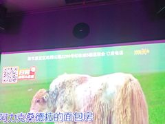 -星聚会KTV(南翔印象城MEGA店)