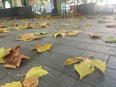 -民园广场