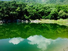 -阳台山自然风景区