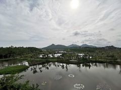 -沙美村