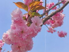 -长安大学(北校区)