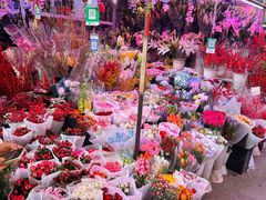 -花鸟鱼虫鲜花绿植市场(玉泉路店)