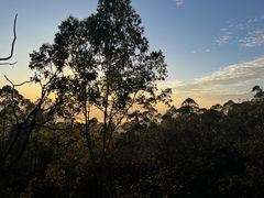 -水濂山森林公园