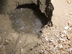 -碧桂园十里银滩