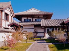 -呼兰河口湿地公园