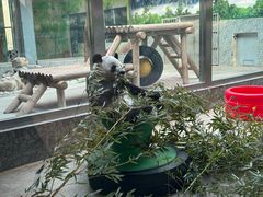 -西安秦岭野生动物园