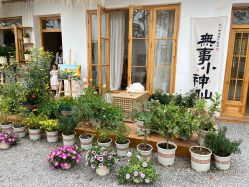 -DORA kids 朵拉儿童摄影花园店