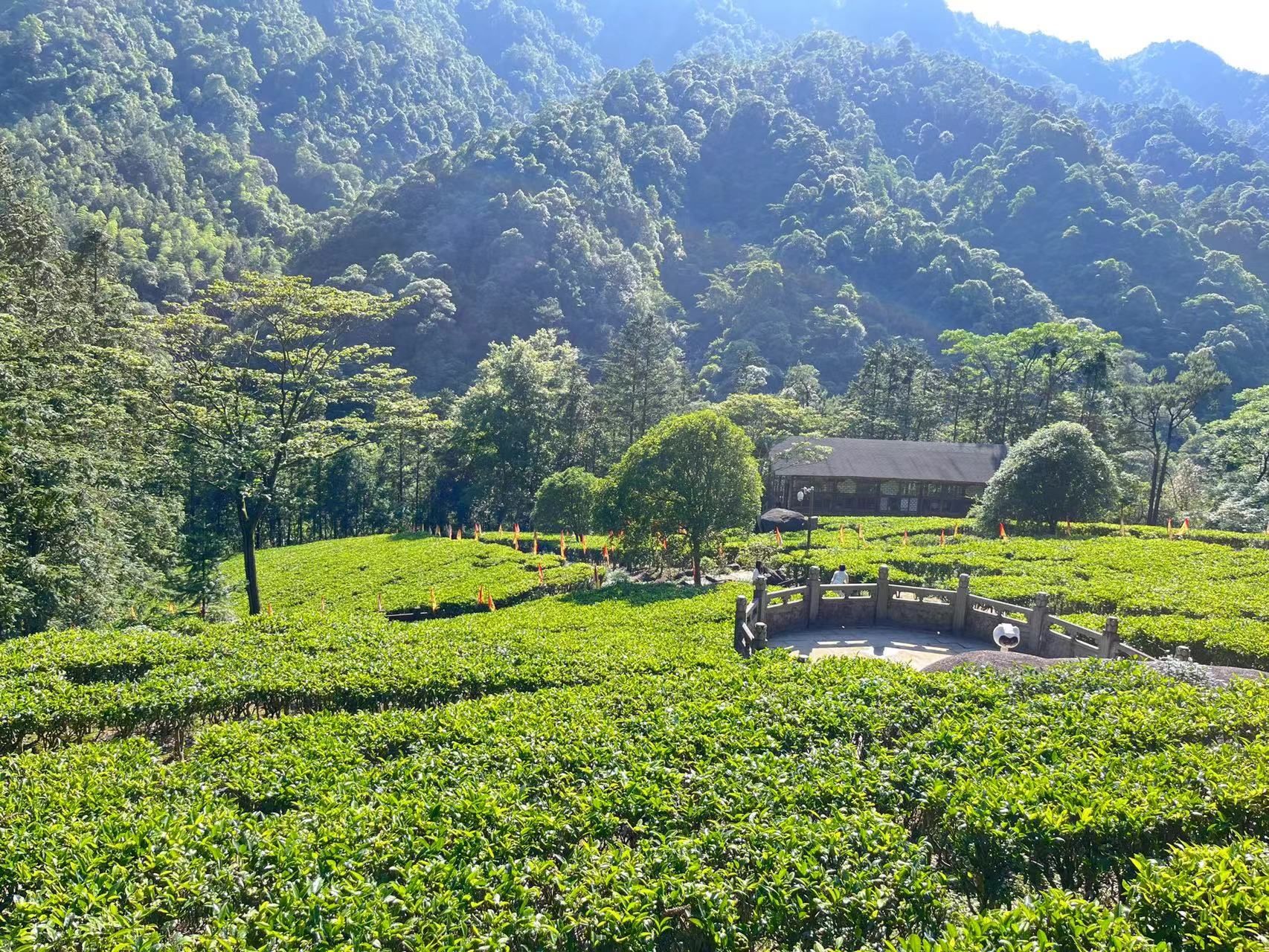 天天领红包 电视剧茶是故乡浓,酒是故乡醇的拍摄地点