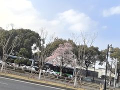-苏州观前平江美居酒店