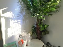 -津椰本·海南正宗椰奶清补凉(店一店)