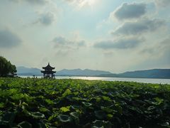 -西湖游船