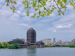 -眉山湿地公园(东坡区)