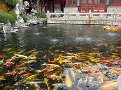 -下海庙