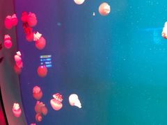 -福州罗源湾海洋世界旅游区