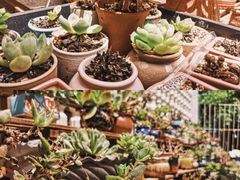 -旧屋咖啡(海景店)