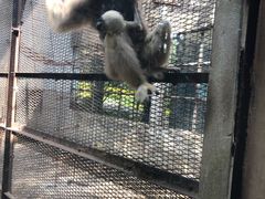-昆明动物园