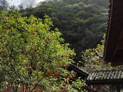 -太湖源风景区