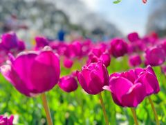 -玄武湖景区-情侣园游乐场