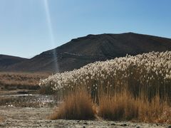 -新疆天山野生动物园