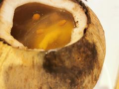 椰子乌鸡汤-顺丰轩园林酒家(天河店)
