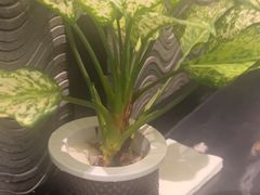 -一江水食府(后湖店)