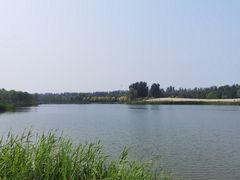 -东郊湿地公园