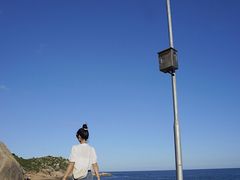 -广东惠东海龟国家级自然保护区
