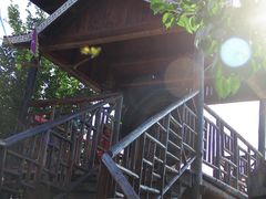 -呀路古热带植物园