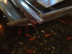 -南京时尚莱迪购物广场(正洪街店)