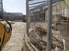 -清风小镇闯关东影视基地