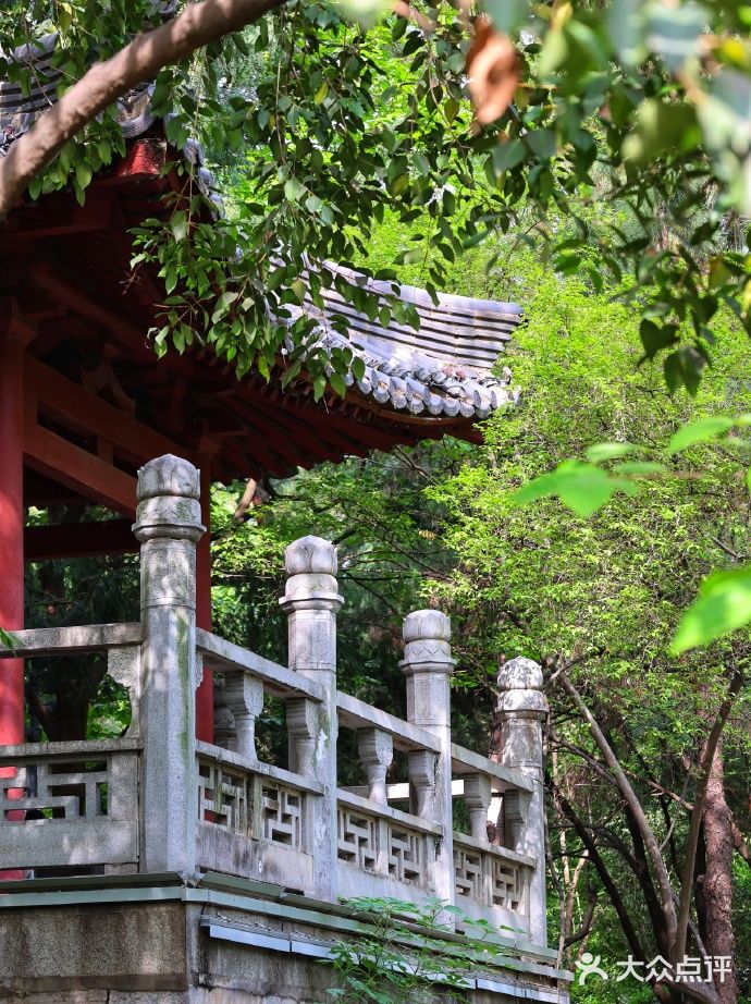 大慈恩寺(大雁塔)图片