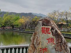 -星湖旅游景区七星岩