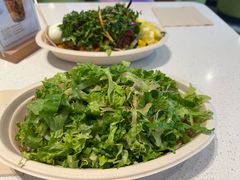 -油梨树 AVOCADO TREE(亮马桥店)