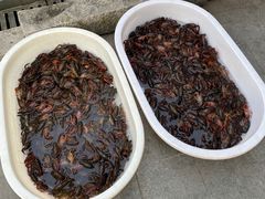 -眼镜哥浦江夜宵大本营