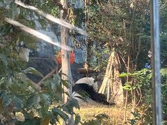 -泉州海丝野生动物世界