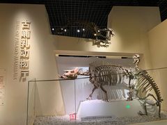 -国家自然博物馆