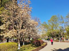 -康庄公园