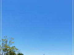 -上海滨江森林公园