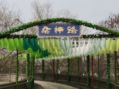 -大槐树寻根祭祖园