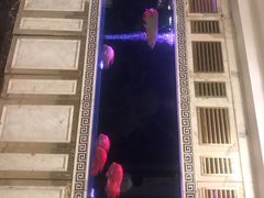 -万宝海鲜舫(劳动公园店)
