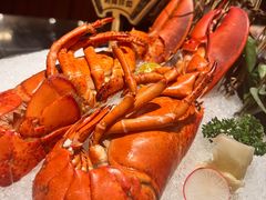 -半岛翡丽海鲜自助餐厅(观风亭店)