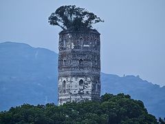 -江心屿景区