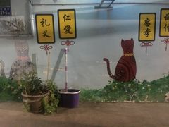 -猫咪博物馆(顶澳仔猫街店)