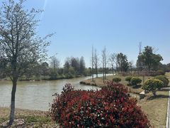 -漩门湾国家湿地公园