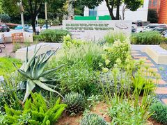 -翠贝卡&Mama Kelly Brunch Coffee(河西店)