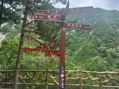 -罗田天堂寨风景区