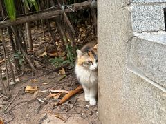 -晓港公园